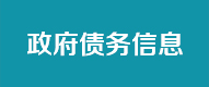 政府债务信息