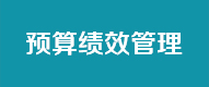 预算绩效管理